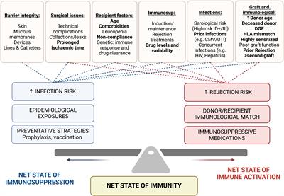 Current and emerging tools for simultaneous assessment of infection and rejection risk in transplantation